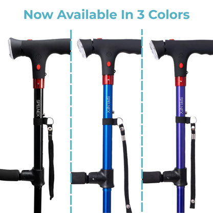 StandSecure Cane™