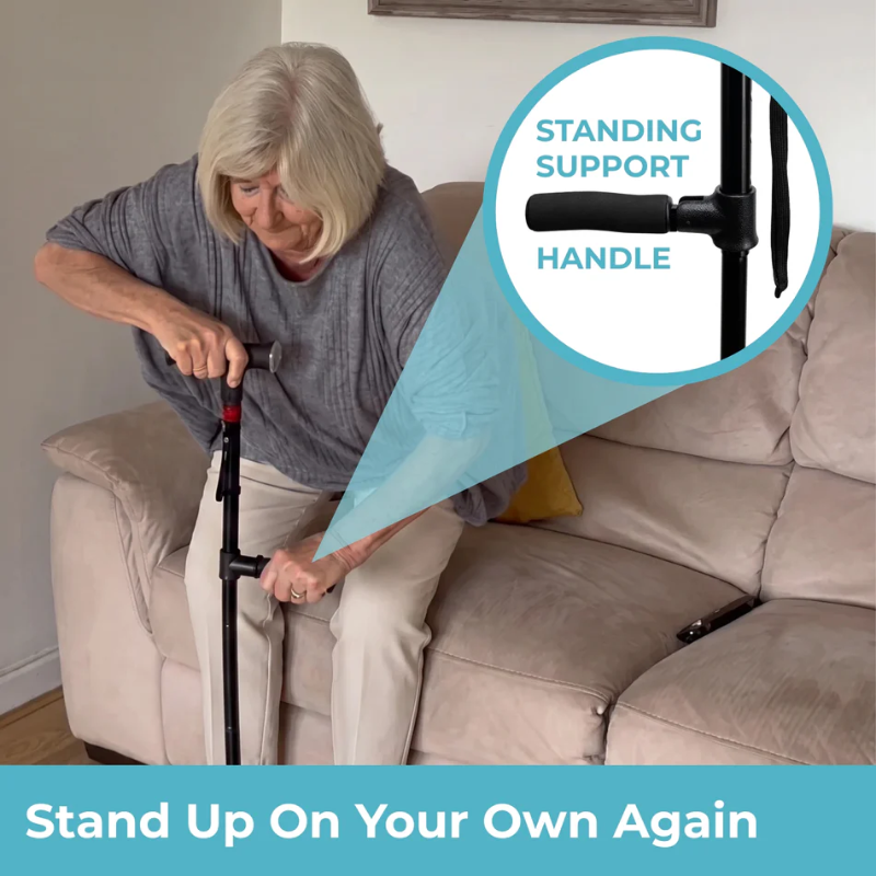 StandSecure Cane™